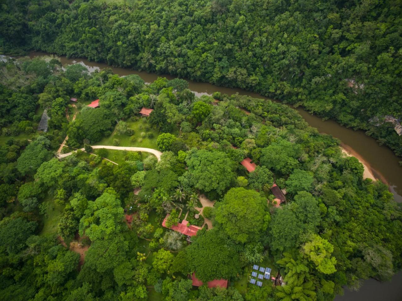 Sweet Songs Jungle Lodge San Ignacio Exterior photo